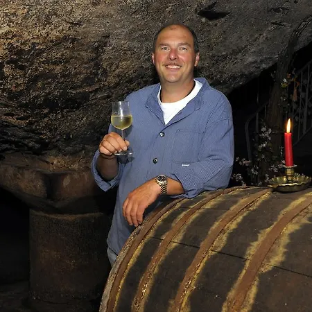 Penzion Wein Und Gaestehaus Scheid 4*