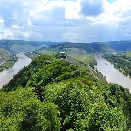 Wein Und Gaestehaus Scheid 4*