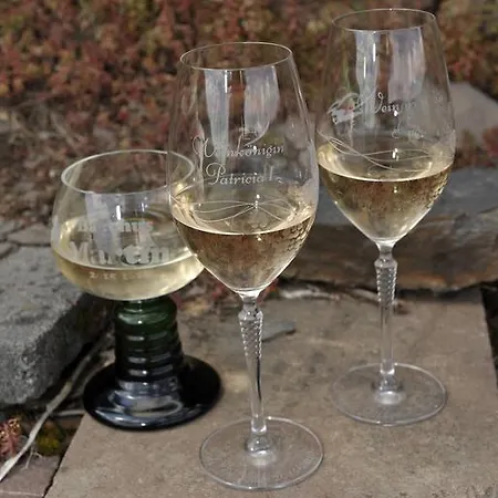 Penzion Wein Und Gaestehaus Scheid Sankt Aldegund