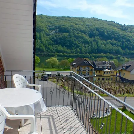 Penzion Wein Und Gaestehaus Scheid