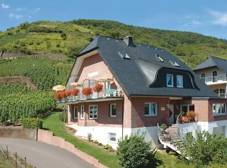 Guest house Wein Und Gaestehaus Scheid Sankt Aldegund