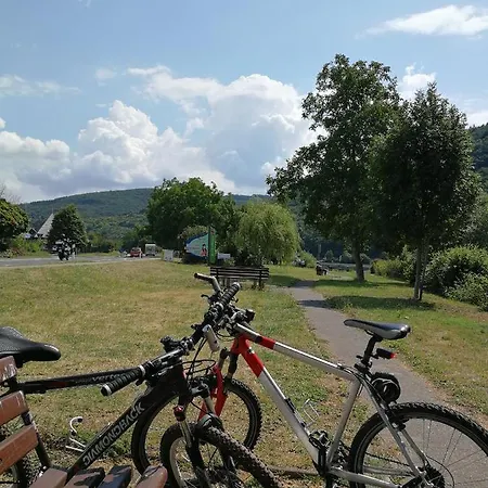 Wein Und Gaestehaus Scheid 4*