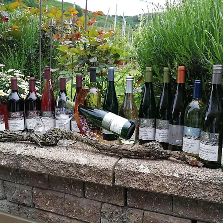 Pensión Wein Und Gaestehaus Scheid