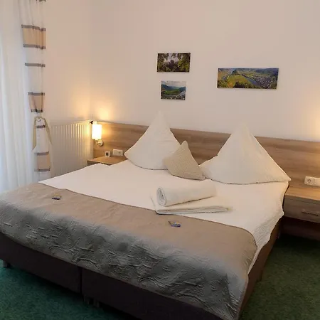 Wein Und Gaestehaus Scheid