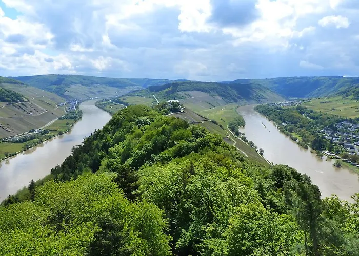 Wein Und Gaestehaus Scheid 4*