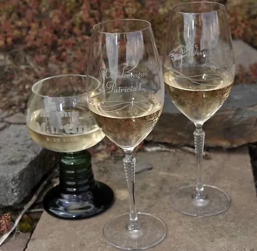 Casa de hóspedes Wein Und Gaestehaus Scheid Sankt Aldegund