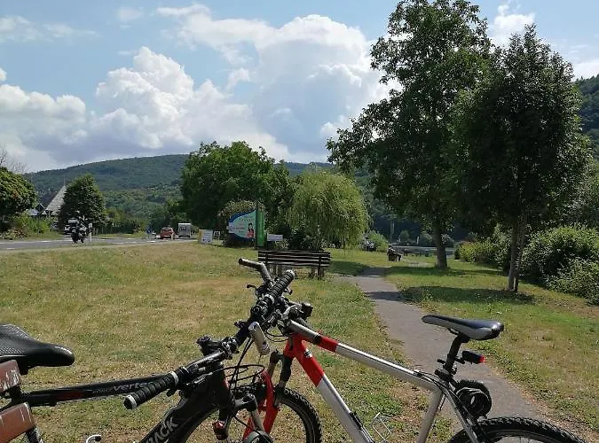 Wein Und Gaestehaus Scheid 4*