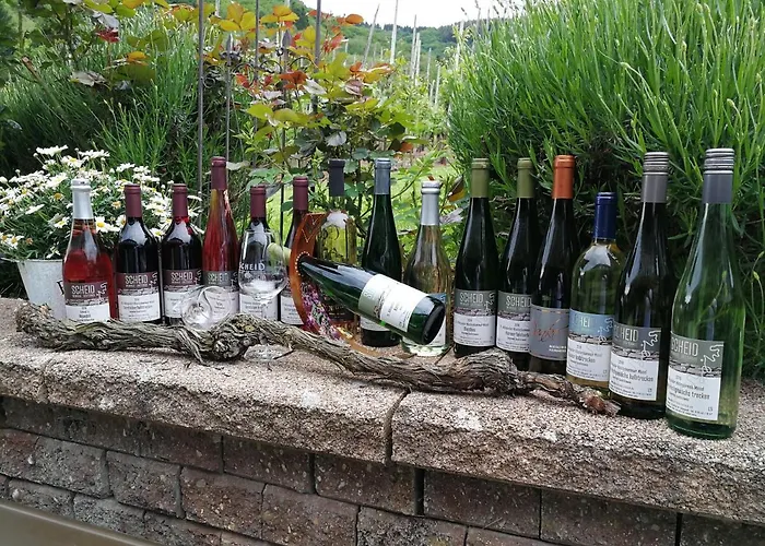 Casa de hóspedes Wein Und Gaestehaus Scheid